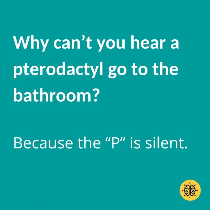 Miért nem hallod, hogy a pterodaktilusz a mosdóba megy