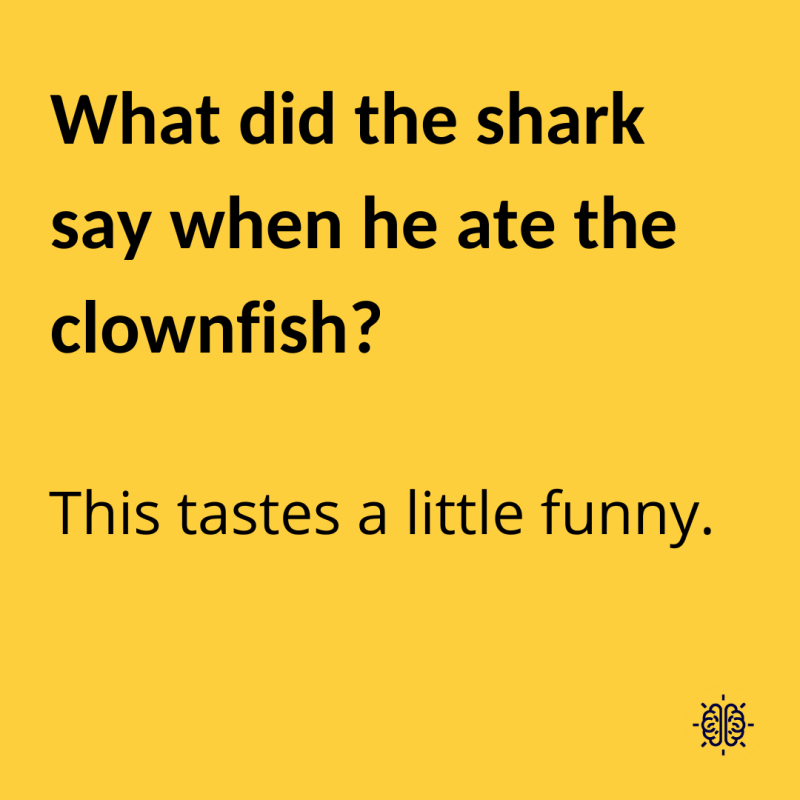 Mit mondott a cápa, amikor megette a bohóchalat