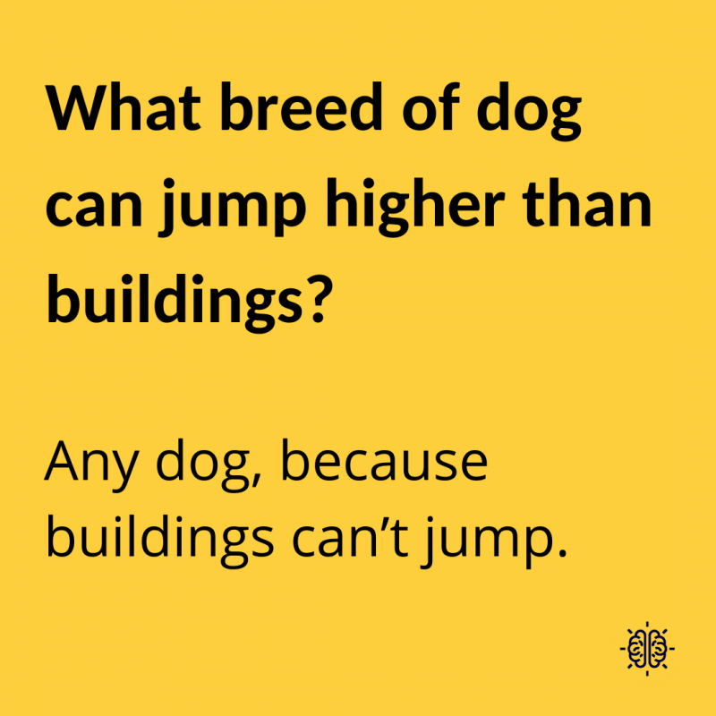 Milyen fajta kutya tud magasabbra ugrani, mint egy épület?
